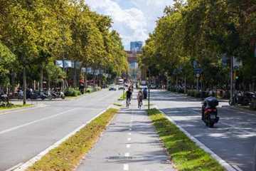 Avenida arbolada con carril bici en Barcelona, ejemplo de infraestructura verde urbana