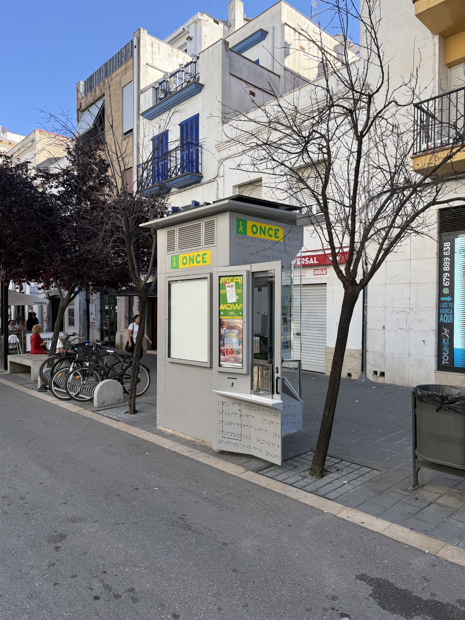 Árbol urbano sin hojas junto a un quiosco de la ONCE, en un alcorque reducido