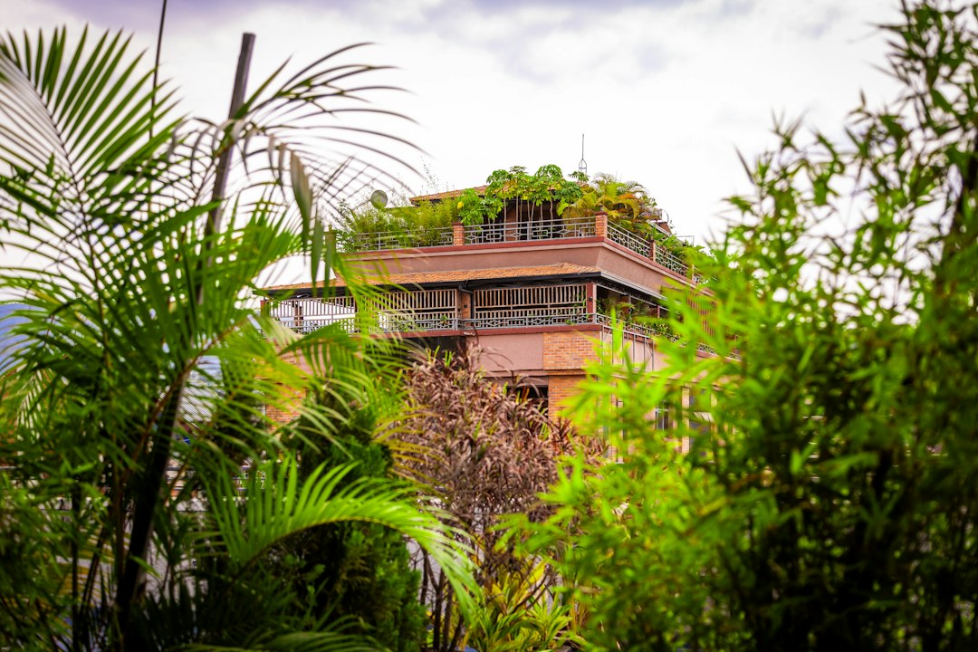 Árboles y plantas en una cubierta verde junto a un edificio; imagen ilustrativa del paisajismo terapéutico