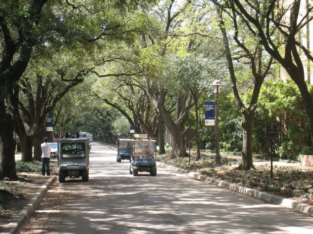 Fotografía real de archivo del arbolado maduro en el arboreto del campus de Rice University, Houston; no muestra los dos ejemplares trasladados