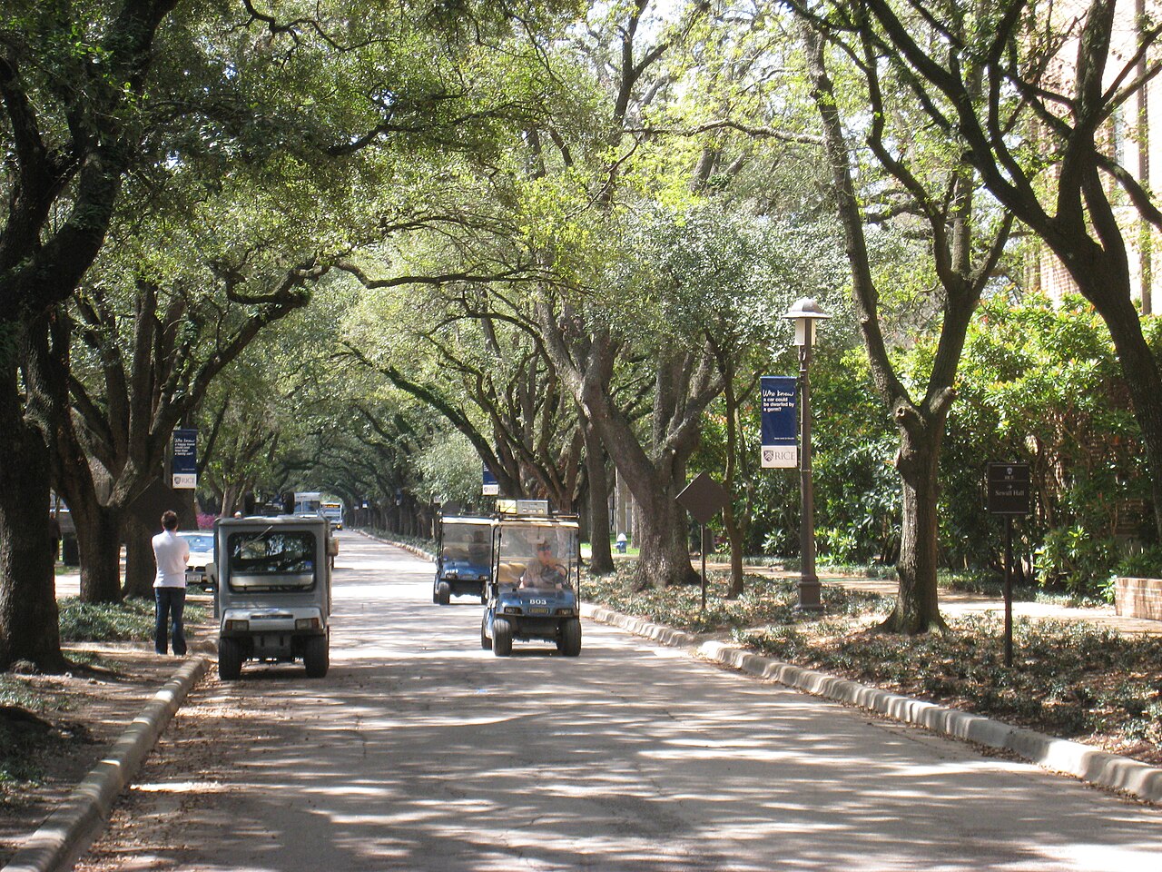 Arbolado maduro del arboreto del campus de Rice University en Houston, imagen de archivo que no muestra los robles que se van a trasladar