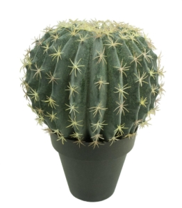 666E-Cactus-redondo-Echinocactus-cmacetaO18-O24x36cmext